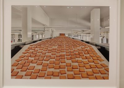 Παπαδοπούλου 100 | Πολιτιστικός Φυσιολατρικός Σύλλογος Δροσιάς