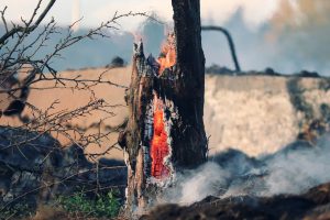 Πυρκαγιά | Πολιτιστικός Φυσιολατρικός Σύλλογος Δροσιάς