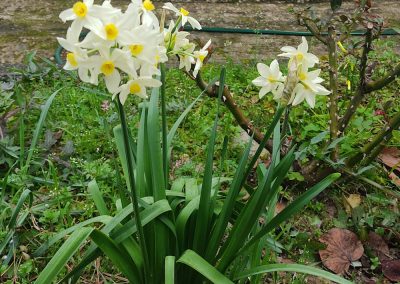 Κοπή πίτας 2022 και πεζοπορία στον καταρράκτη "Μπέμπη" στο Δήμο Ωρωπού | Πολιτιστικός Φυσιολατρικός Σύλλογος Δροσιάς