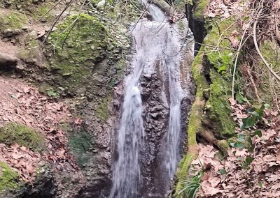 Κοπή πίτας 2022 και πεζοπορία στον καταρράκτη "Μπέμπη" στο Δήμο Ωρωπού | Πολιτιστικός Φυσιολατρικός Σύλλογος Δροσιάς